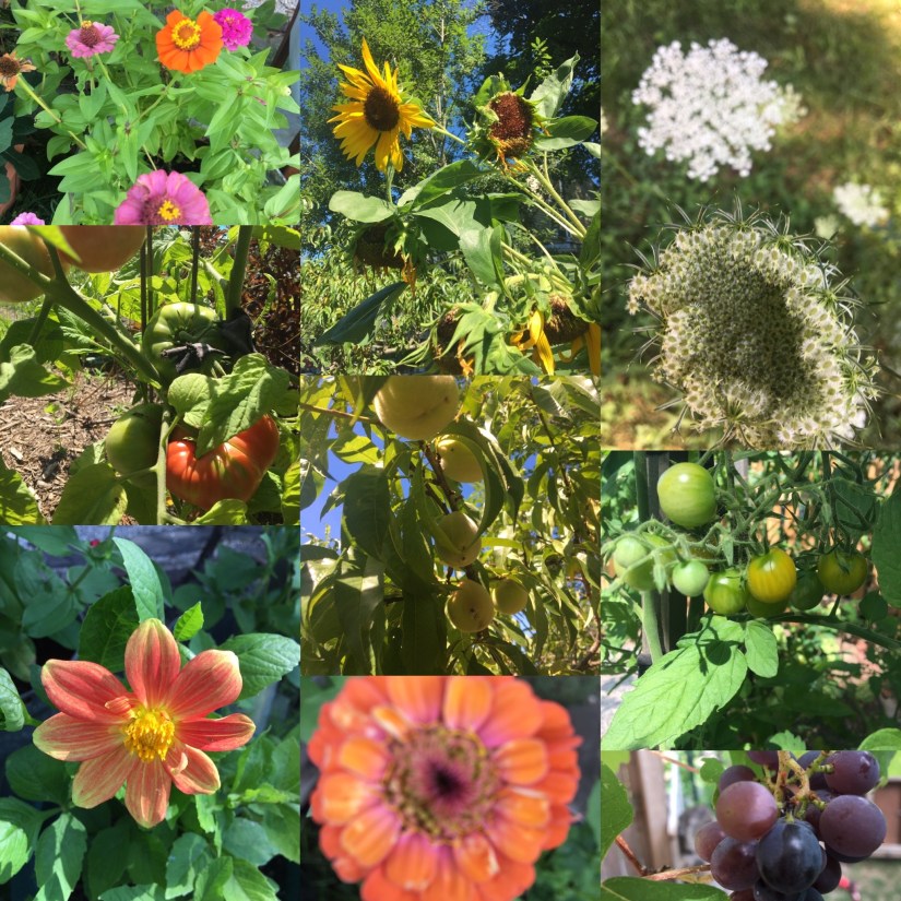 FCCD8B3C-6D93-4657-AC59-F82C32D098A5